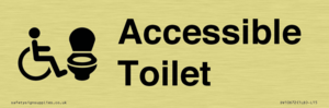 Accessible Toilet
